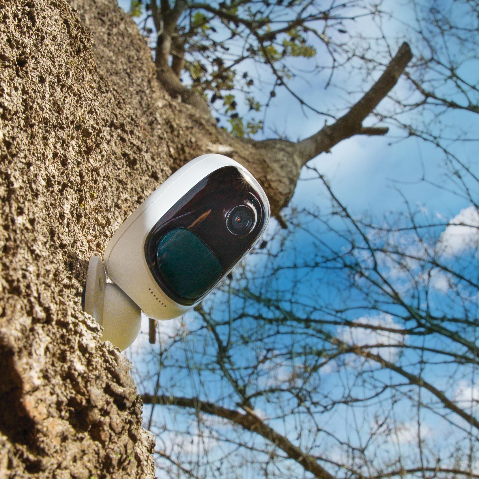 AppCamSoloTreet-crop-rgb